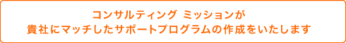 貴社にマッチしたサポートプログラムの作成をいたします